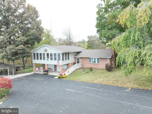 a close up of a plant in a bathroom