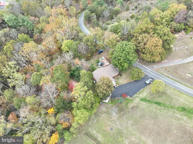 a picture of a yard with a fountain