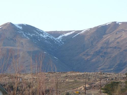 1283 Potter Road Tieton, WA 98947 - Photo 7 of 8 a view of a dry yard with mountains in the background