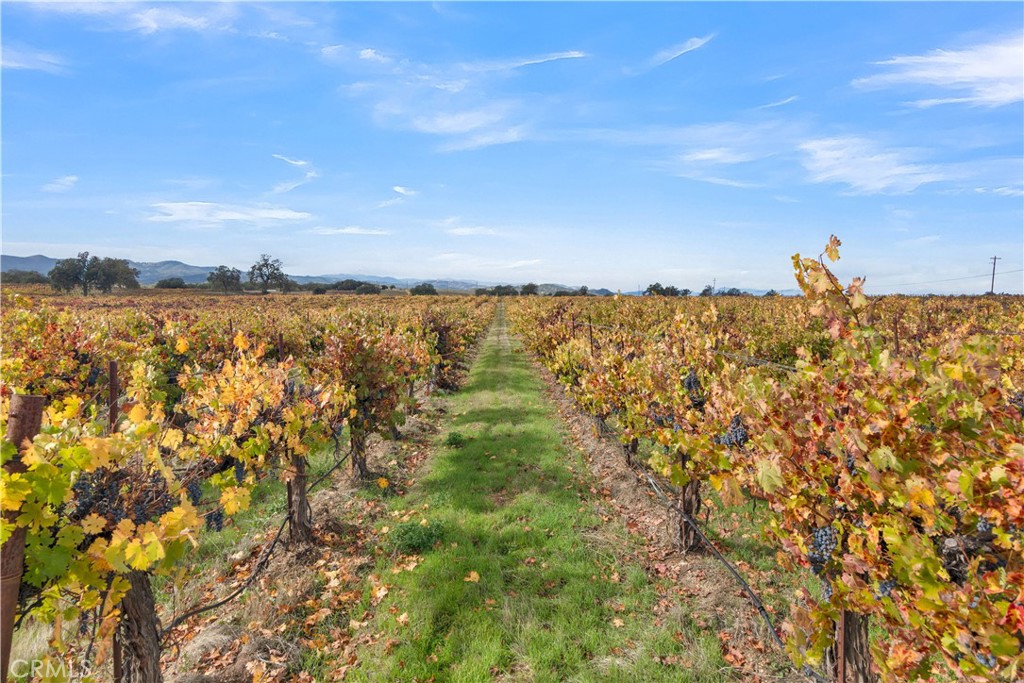53500 Bradley Lockwood Road Bradley, CA 93426 - Photo 3 of 30 a view of a lake