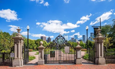 a view of a city with flower plants