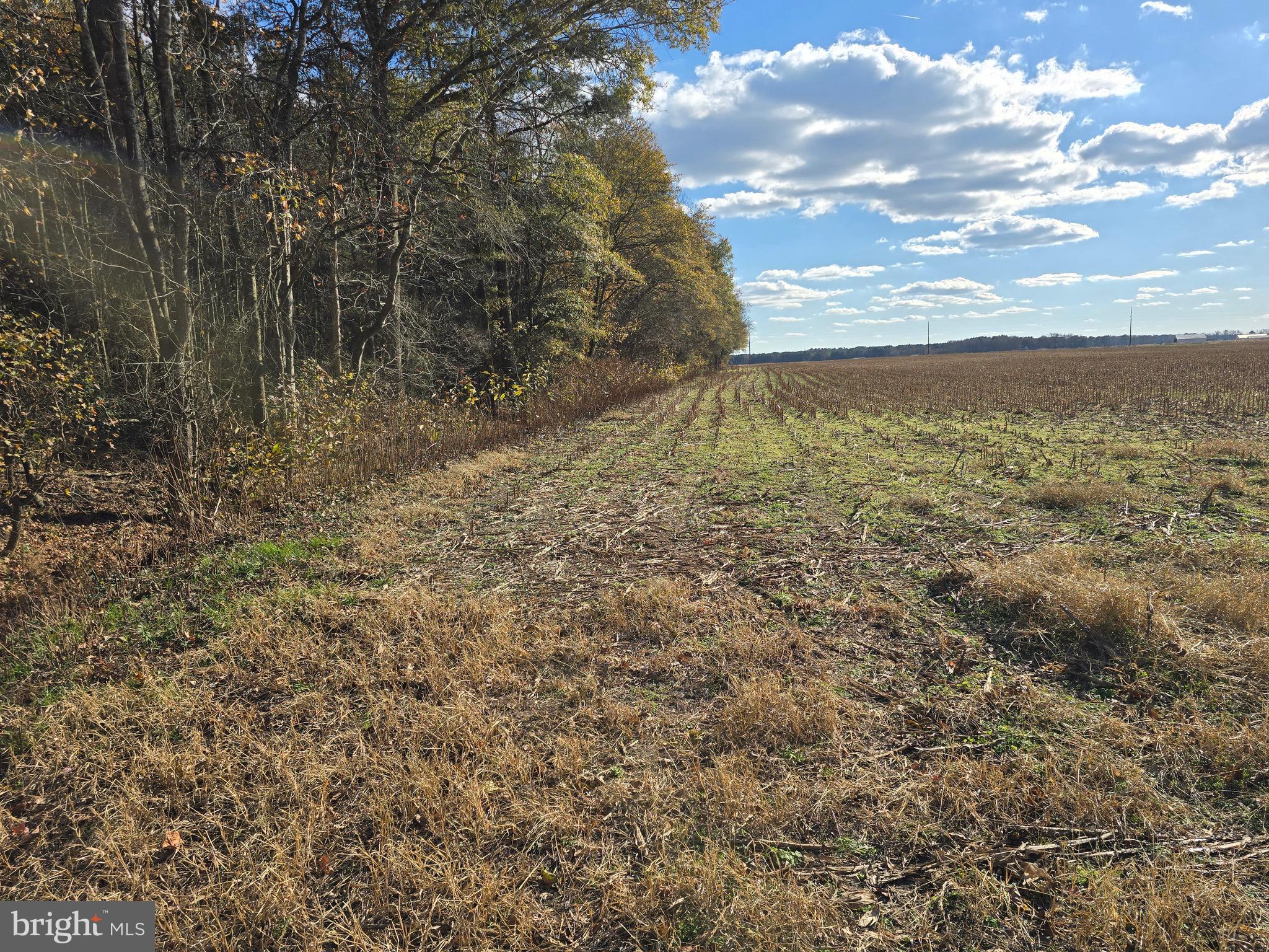 2 Poplar Neck Road Willards, MD 21874 - Photo 11 of 23 Eastern Side