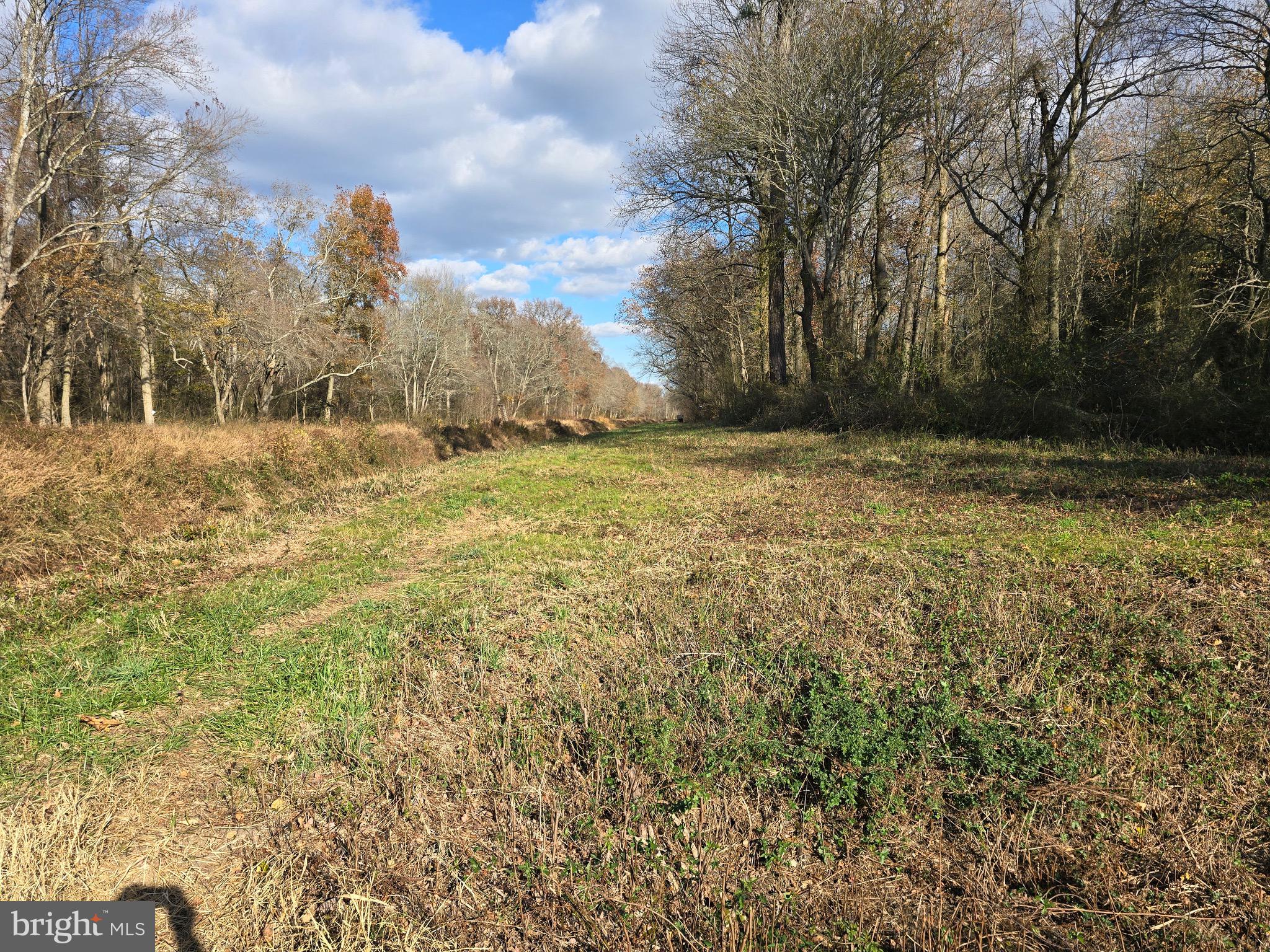 2 Poplar Neck Road Willards, MD 21874 - Photo 12 of 23 View of Burnt Mill Branch