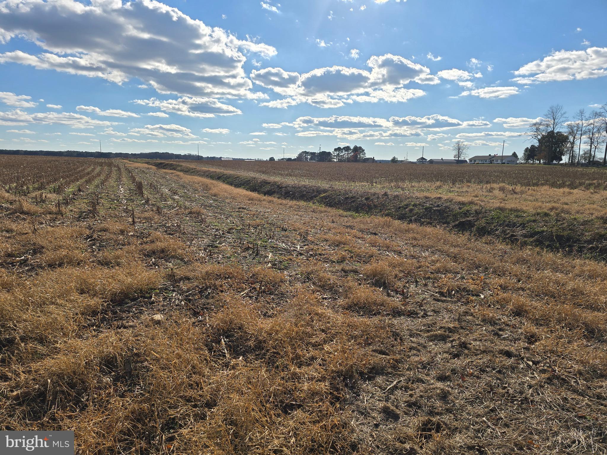 2 Poplar Neck Road Willards, MD 21874 - Photo 13 of 23 View from Rear of Lot