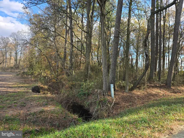 $229,900 | 2 Poplar Neck Road, Willards, MD 21874