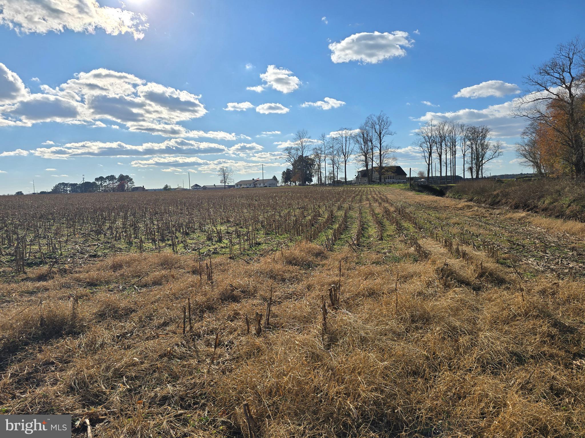 2 Poplar Neck Road Willards, MD 21874 - Photo 18 of 23 Back of Lot