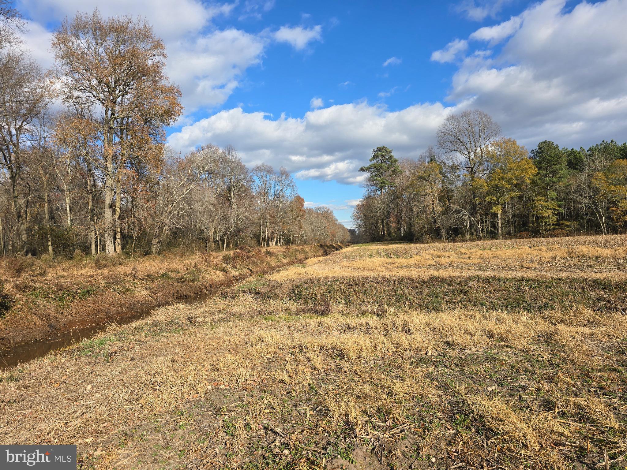 2 Poplar Neck Road Willards, MD 21874 - Photo 19 of 23 Burnt Mill Branch