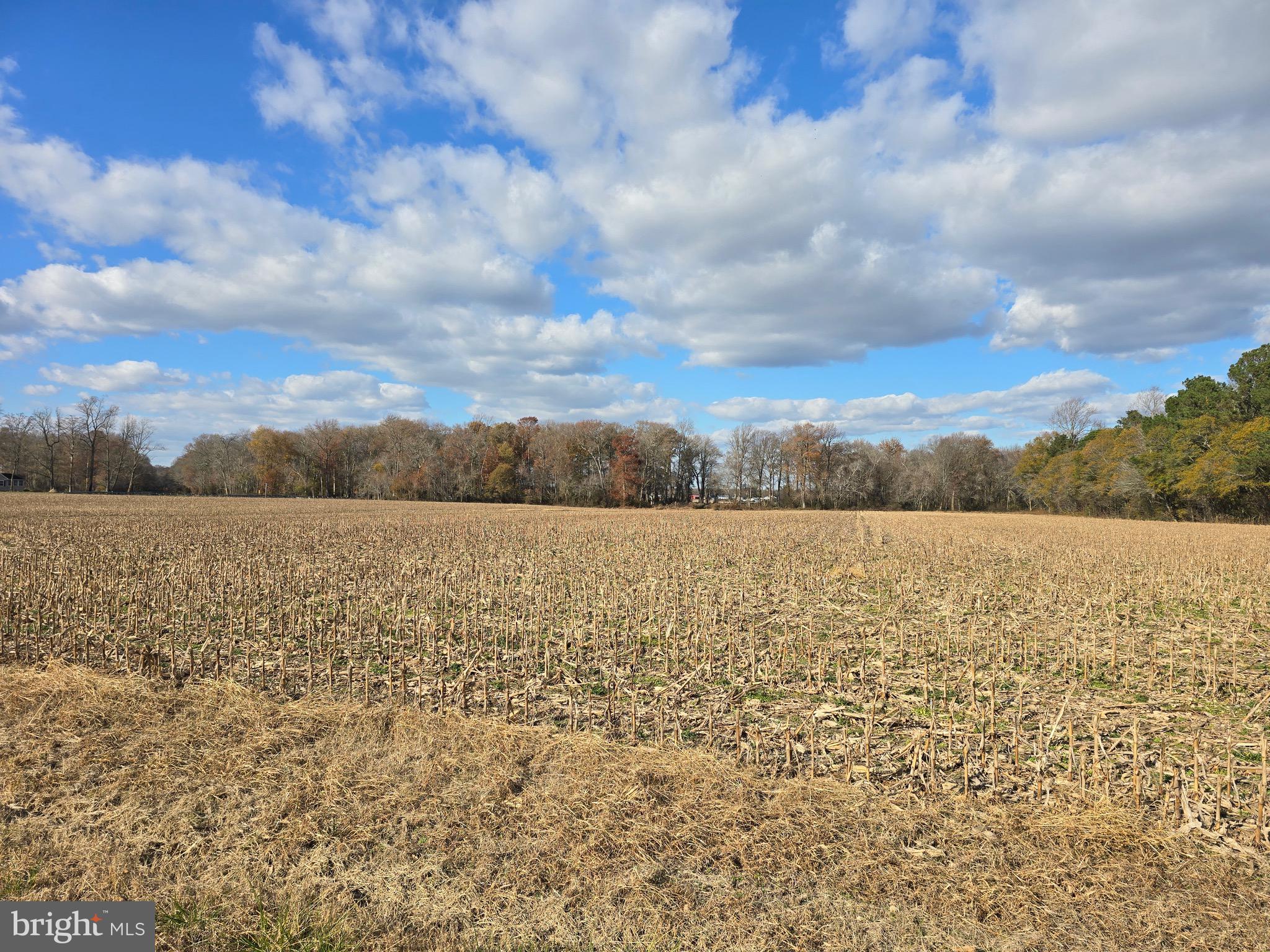2 Poplar Neck Road Willards, MD 21874 - Photo 3 of 23 Front View