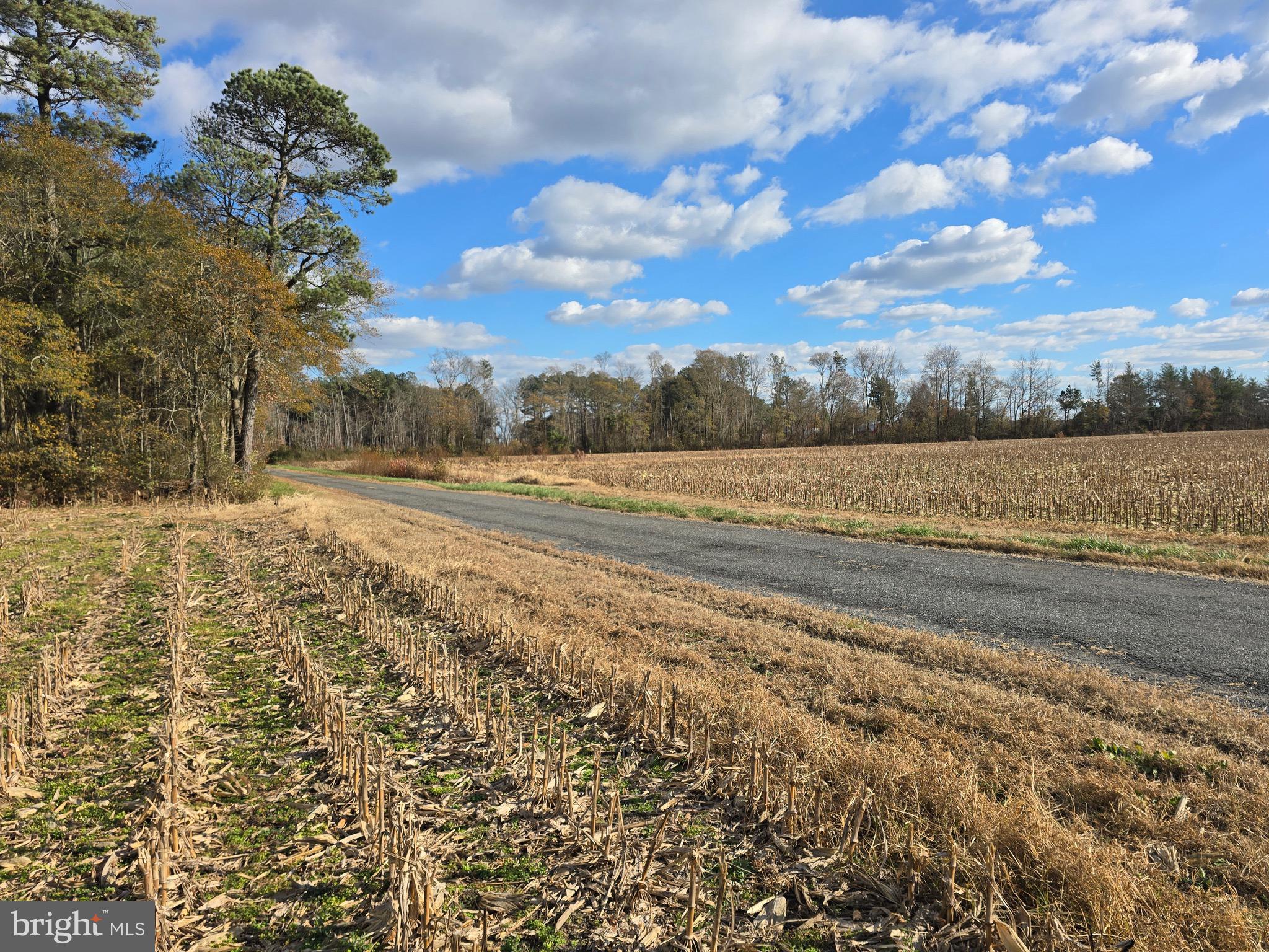 2 Poplar Neck Road Willards, MD 21874 - Photo 4 of 23 View Poplar Neck Rd