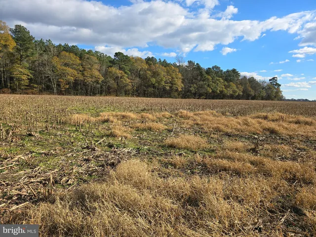 $229,900 | 2 Poplar Neck Road, Willards, MD 21874