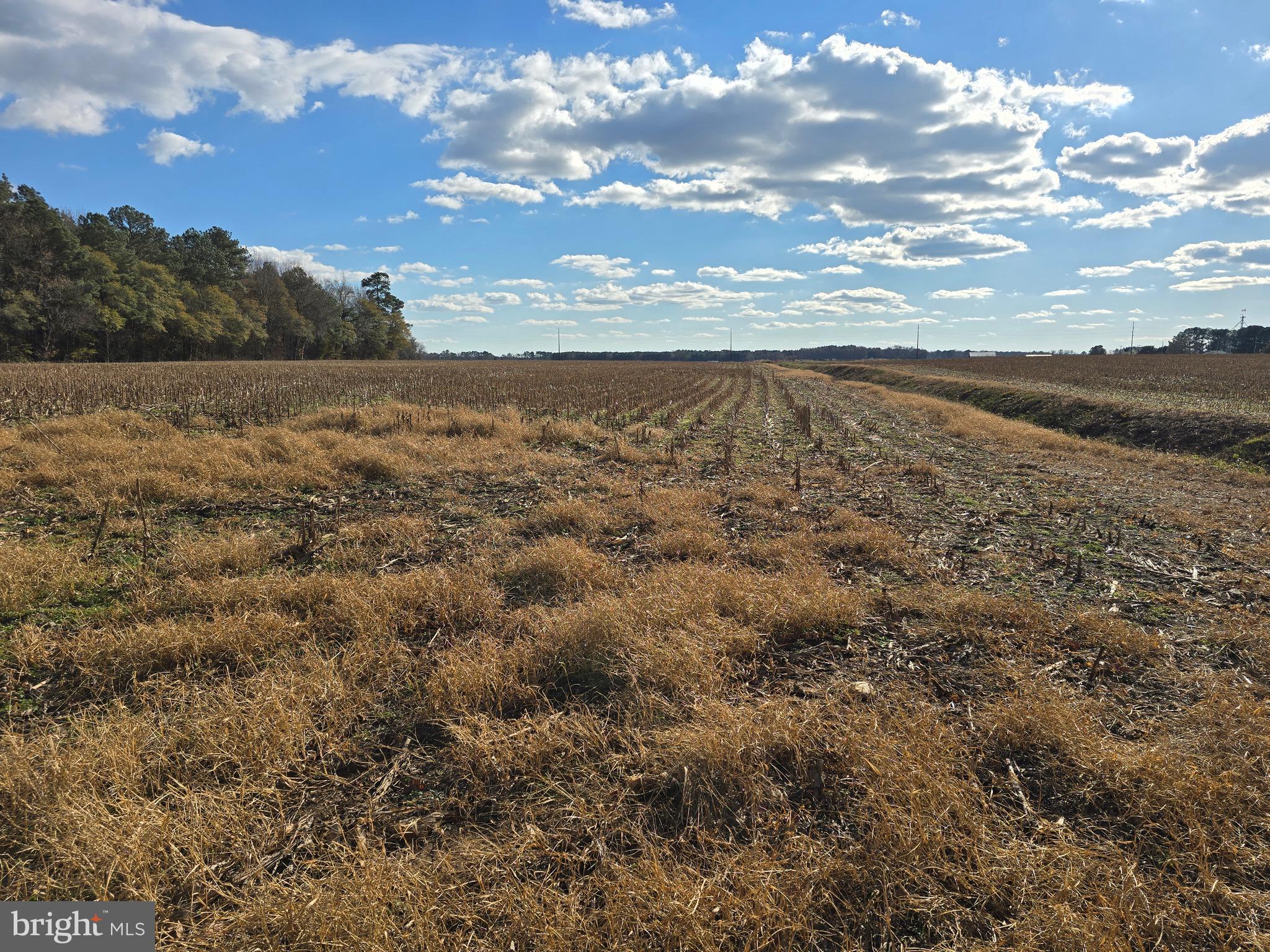 2 Poplar Neck Road Willards, MD 21874 - Photo 7 of 23 View From Rear