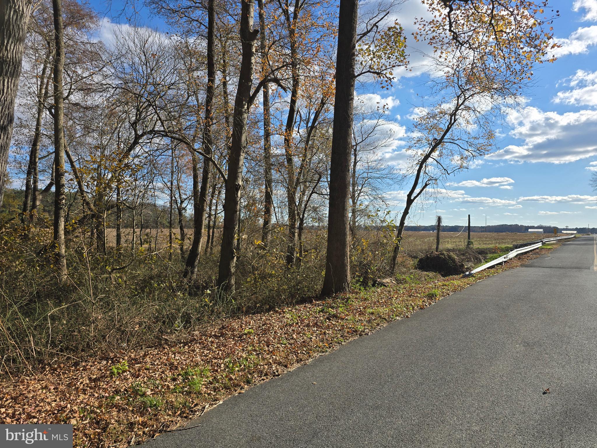 2 Poplar Neck Road Willards, MD 21874 - Photo 9 of 23 Richardson Rd Frontage