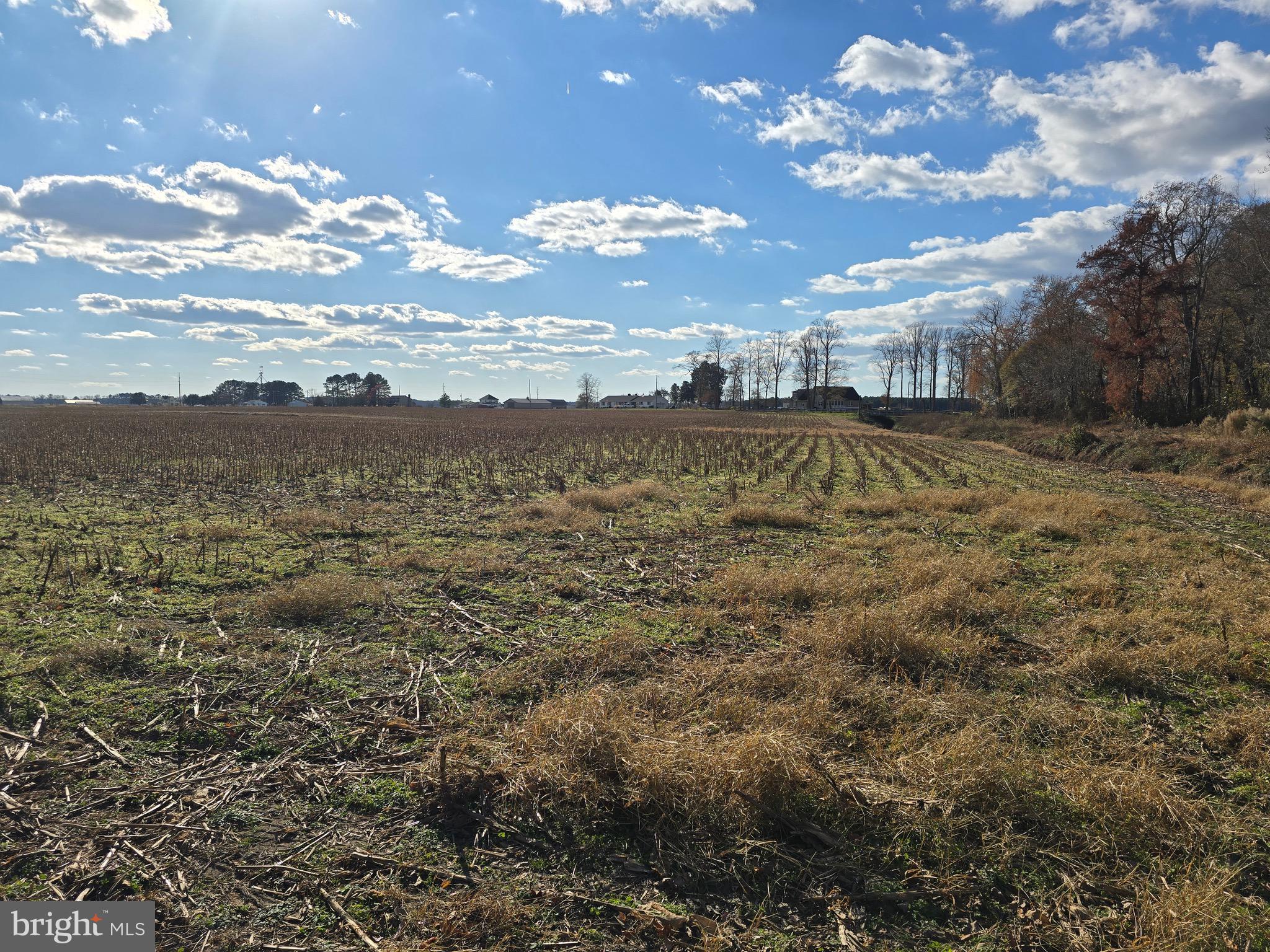 2 Poplar Neck Road Willards, MD 21874 - Photo 10 of 23 View from Rear of Lot