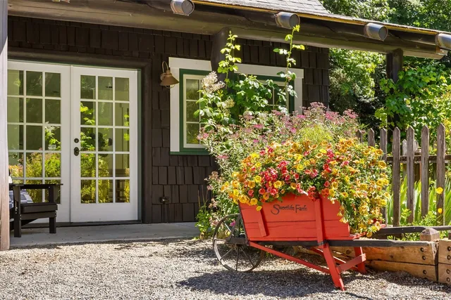 a couple of potted plants in front of door