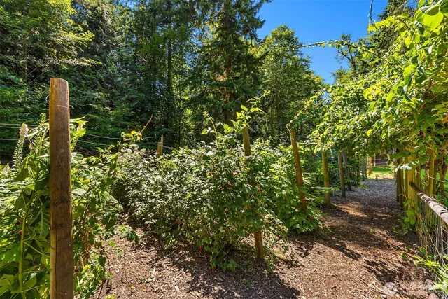 a view of a yard with plants and tree