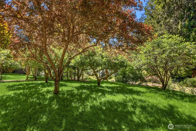 a big yard with lots of green space and trees