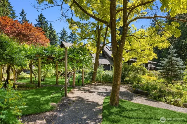 a view of a yard with plants and trees