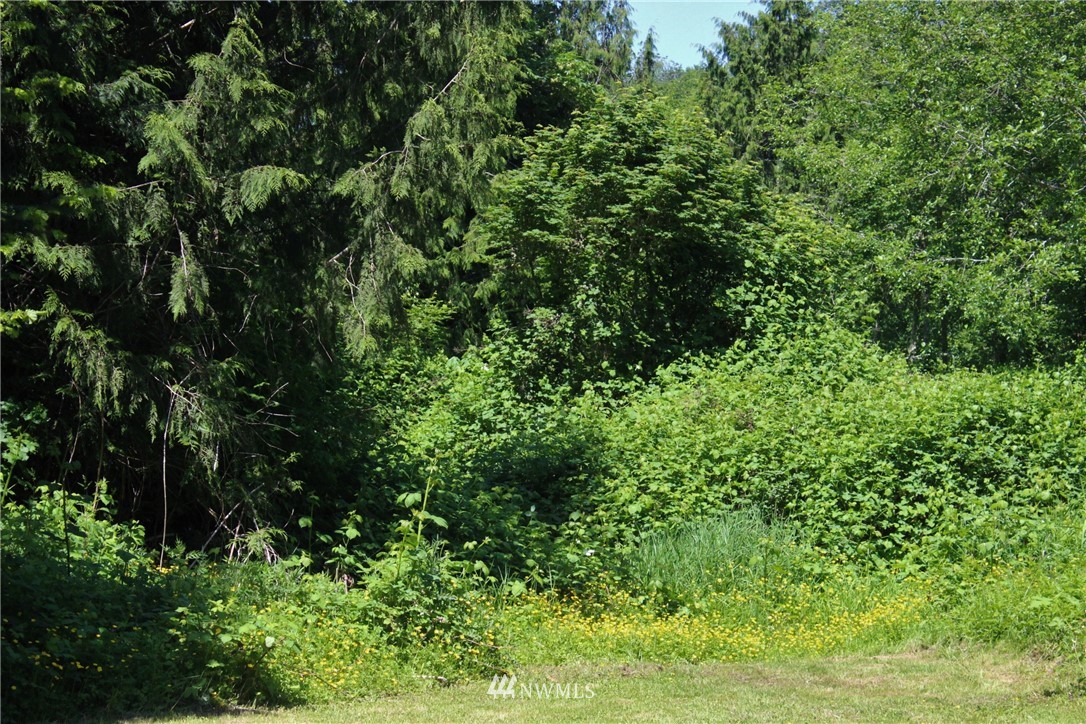 3310 Alger Hill Road Sedro-Woolley, WA 98284 - Photo 20 of 22 Gallery Image 20
