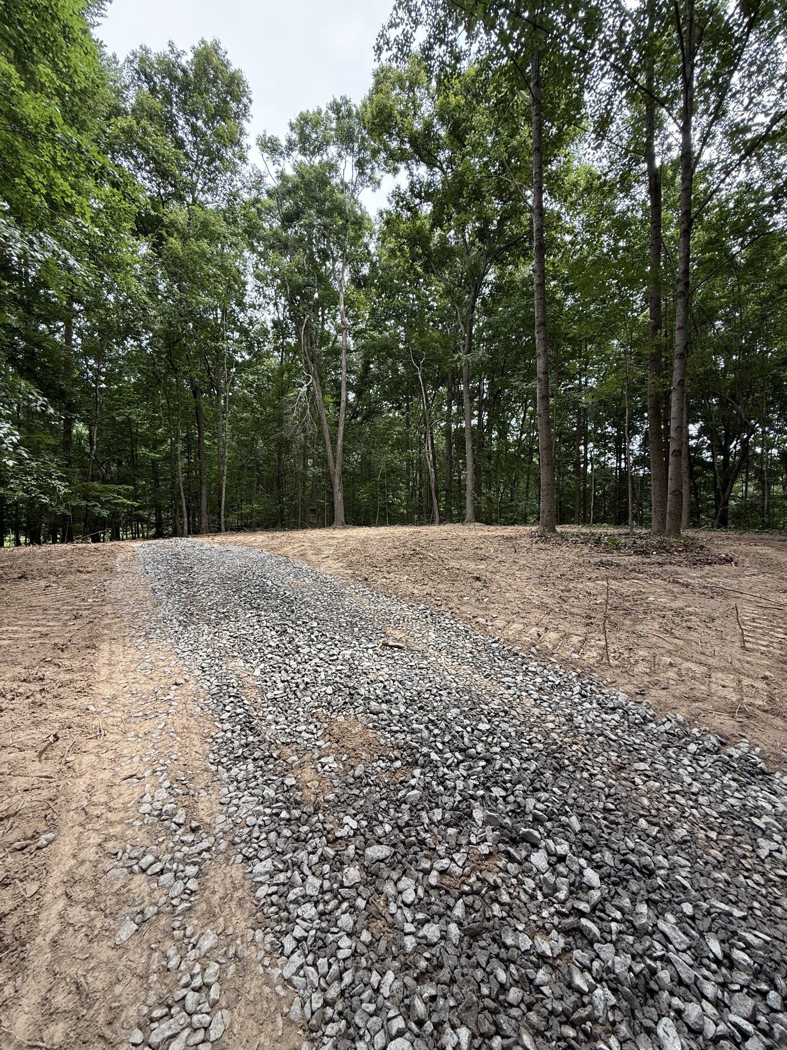0 East Short Road Moss, TN 38575 - Photo 4 of 18 Gallery Image 4