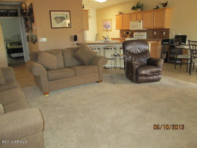 3225 East Fremont Road Phoenix, AZ 85042 - Photo 17 of 29 living rm carpet
