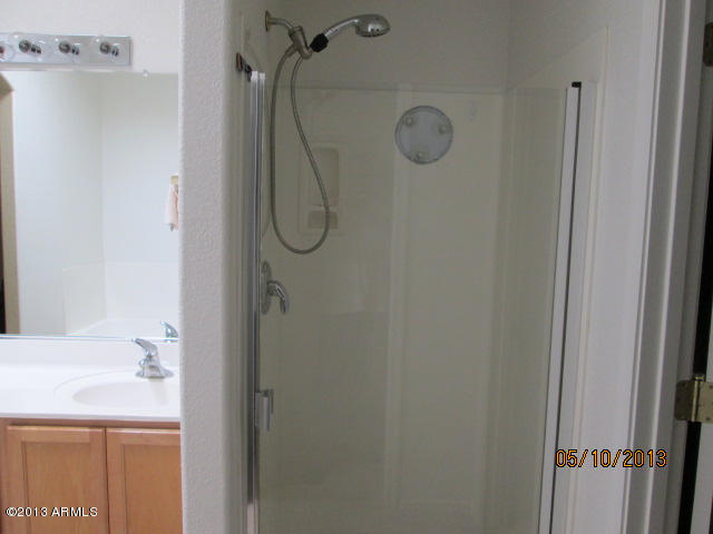 3225 East Fremont Road Phoenix, AZ 85042 - Photo 23 of 29 master shower