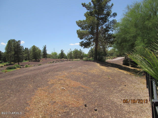 3225 East Fremont Road Phoenix, AZ 85042 - Photo 27 of 29 ravens golf course 1