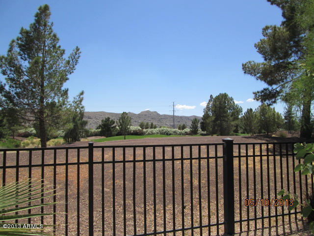 3225 East Fremont Road Phoenix, AZ 85042 - Photo 29 of 29 view so mtn