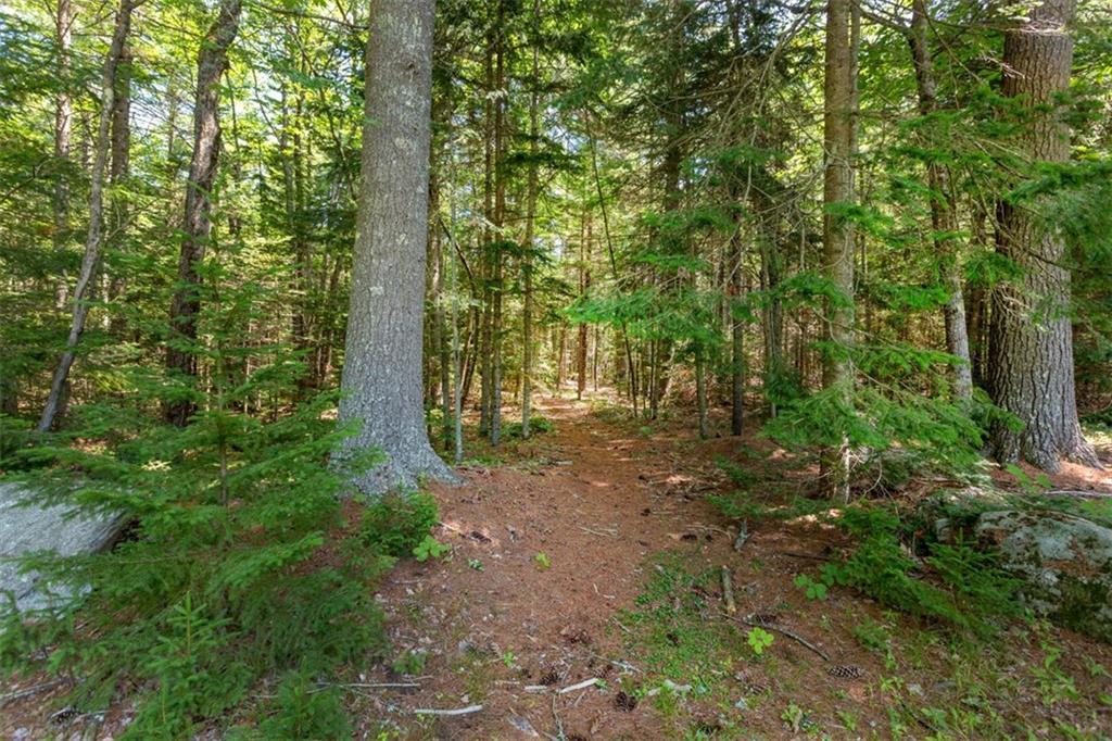 476 Upper Round Pond Road Bristol, ME 04564 - Photo 32 of 35 Photo