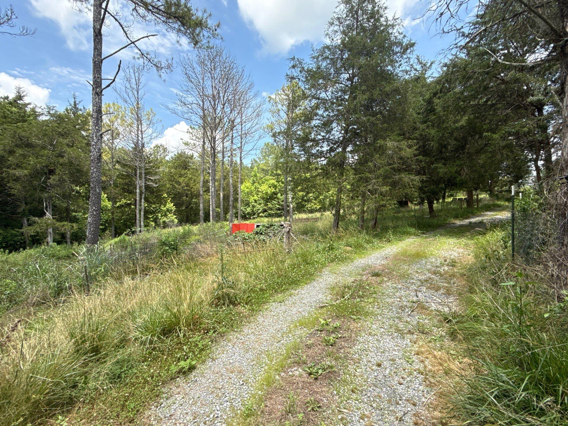 3804 Redman Lane Decatur, TN 37322 - Photo 18 of 33 project_107246054_06092026_1751