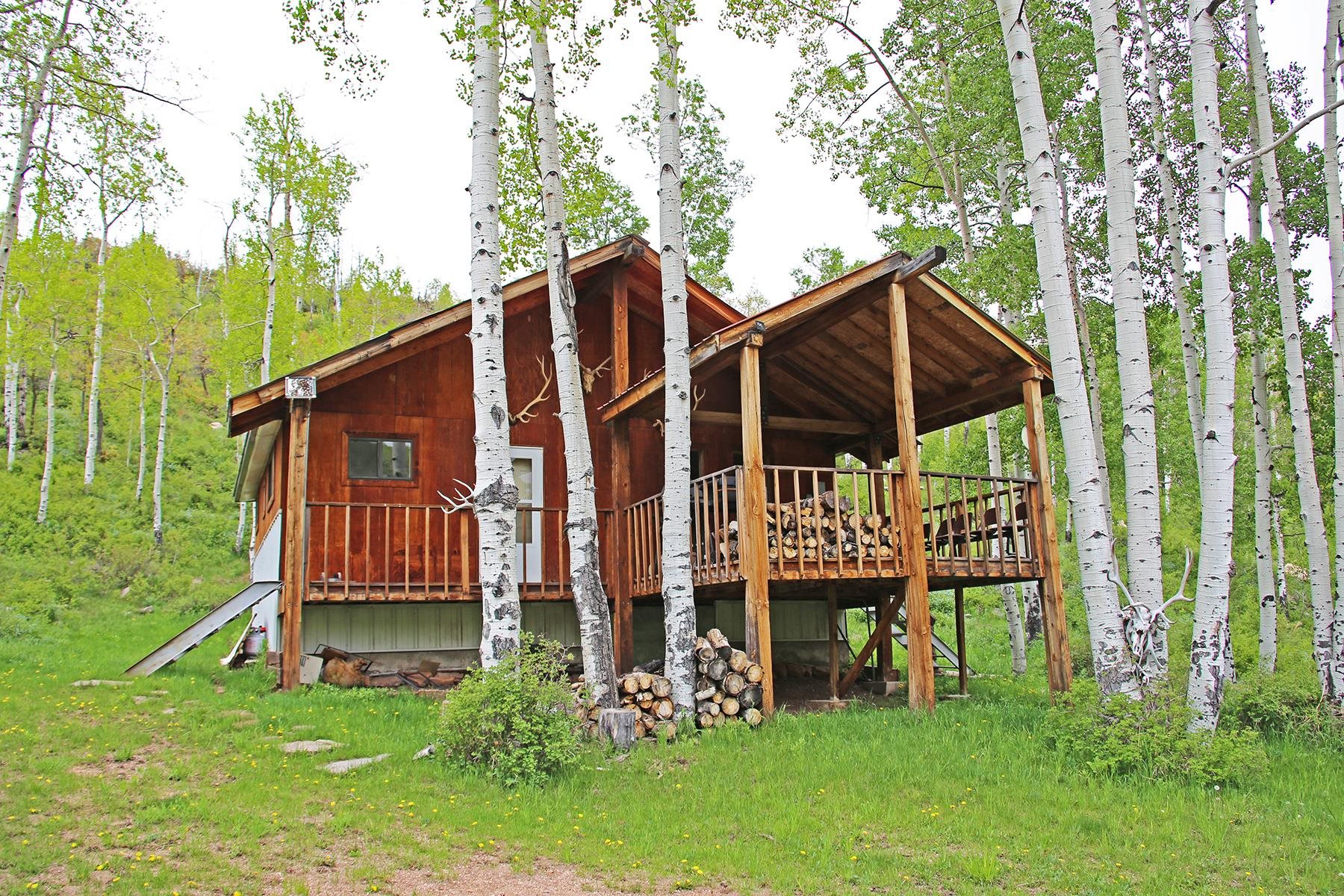 Tbd Tbd Ms Road Glade Park, CO 81523 - Photo 11 of 20