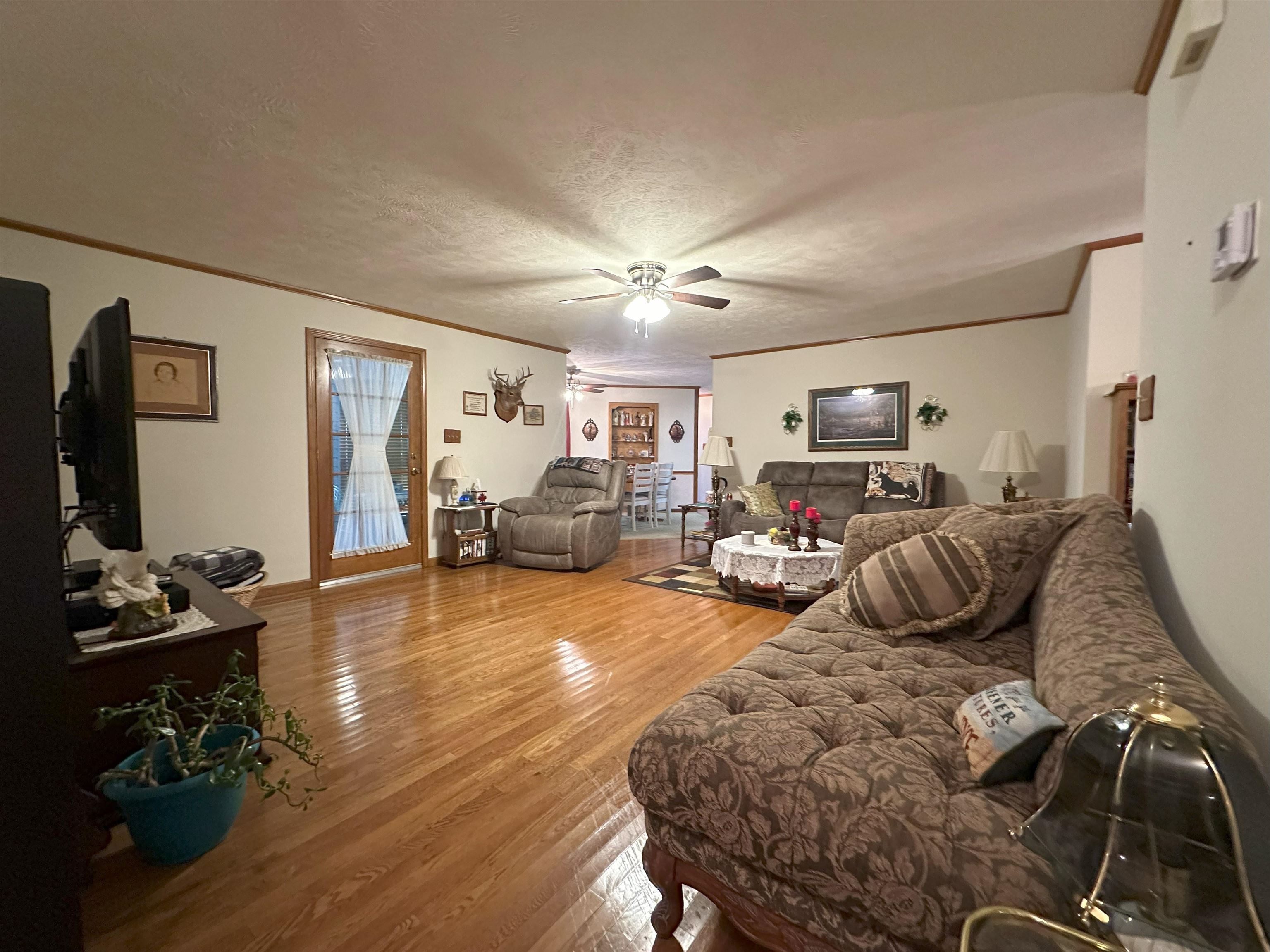 883 Crucifer Road Huron, TN 38345 - Photo 16 of 22 Living room featuring ceiling fan, crown molding, wood-type flooring, and a textured ceiling