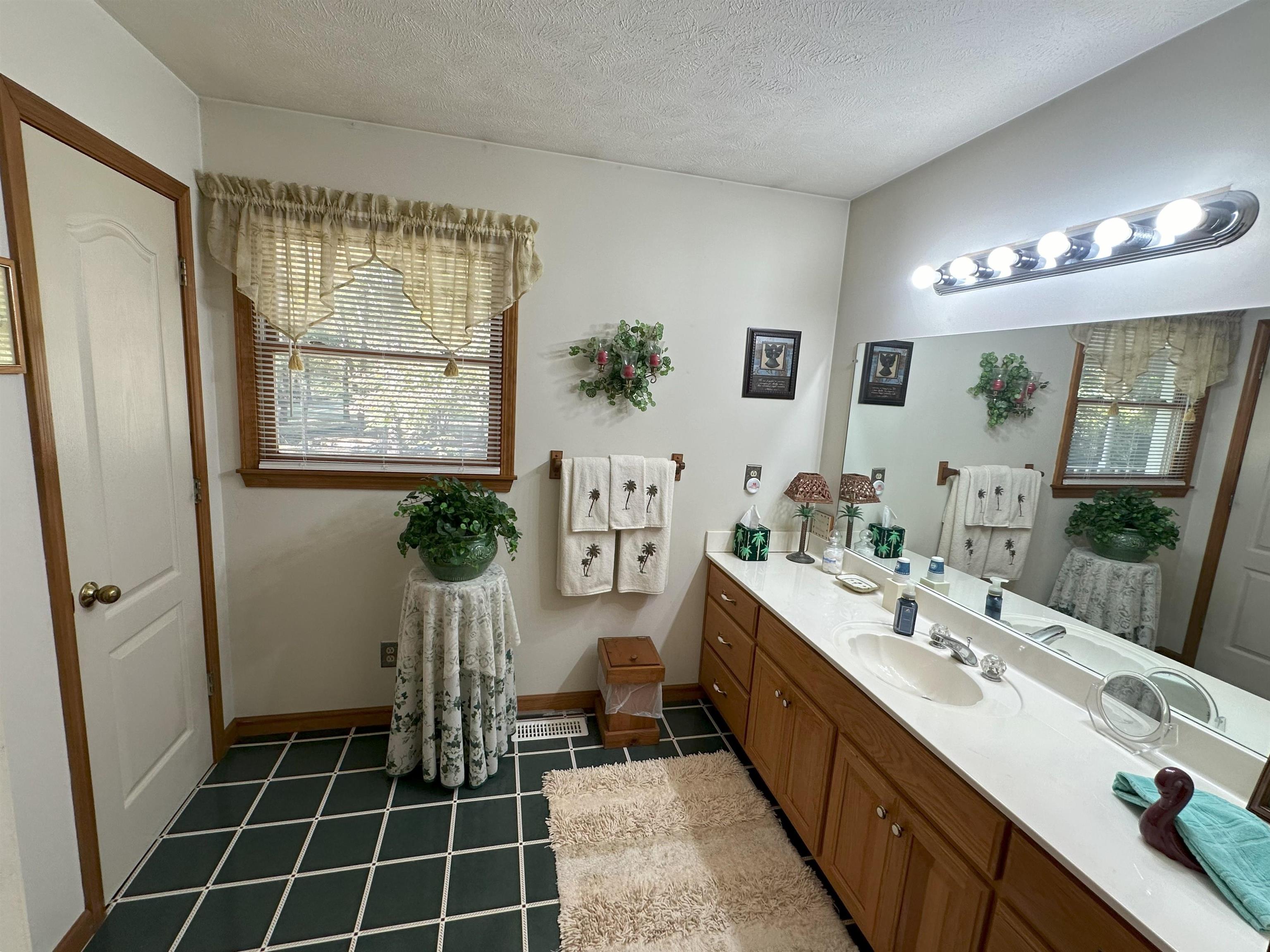 883 Crucifer Road Huron, TN 38345 - Photo 18 of 22 Bathroom with vanity and a textured ceiling