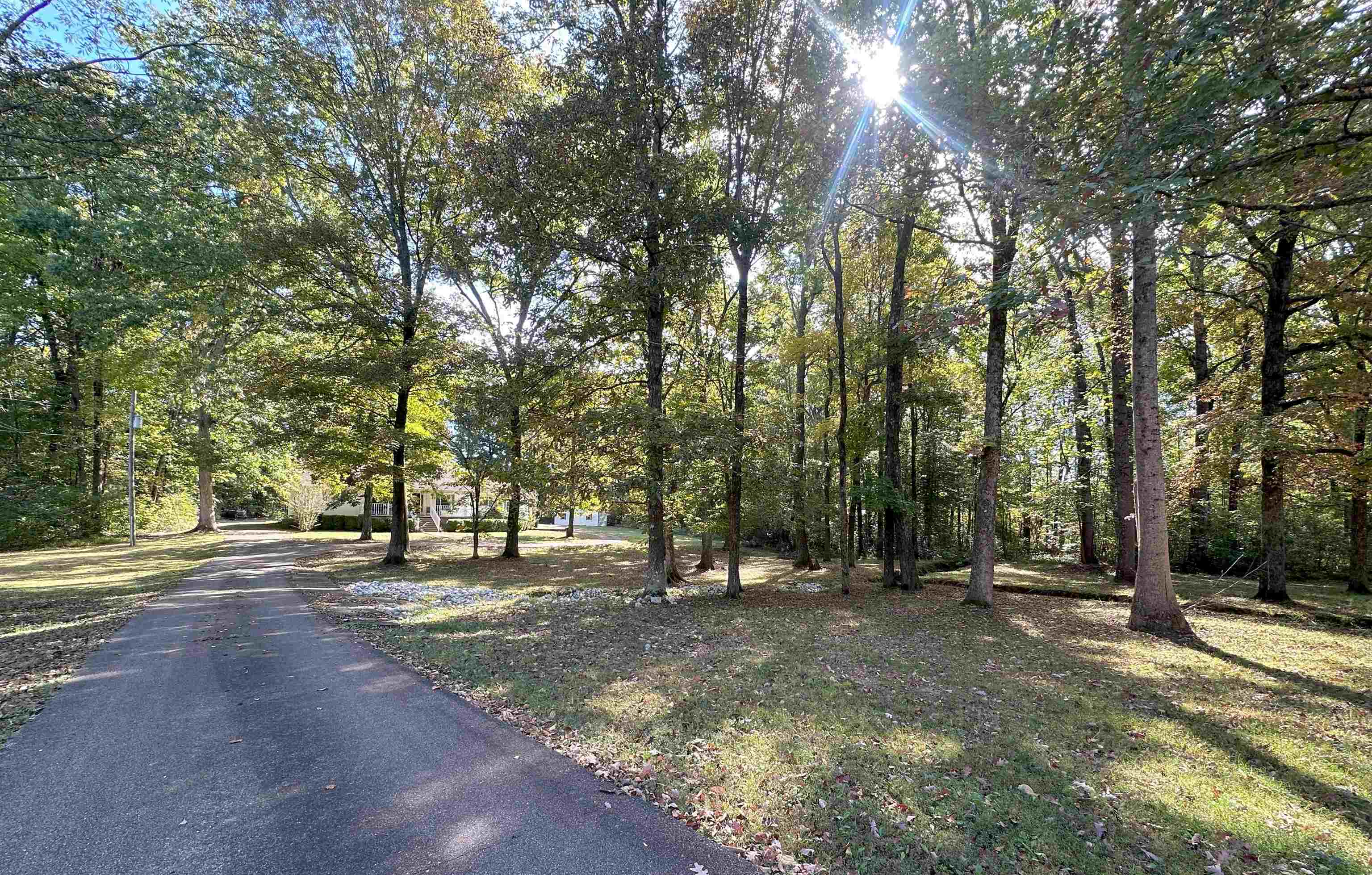 883 Crucifer Road Huron, TN 38345 - Photo 3 of 22 View of road