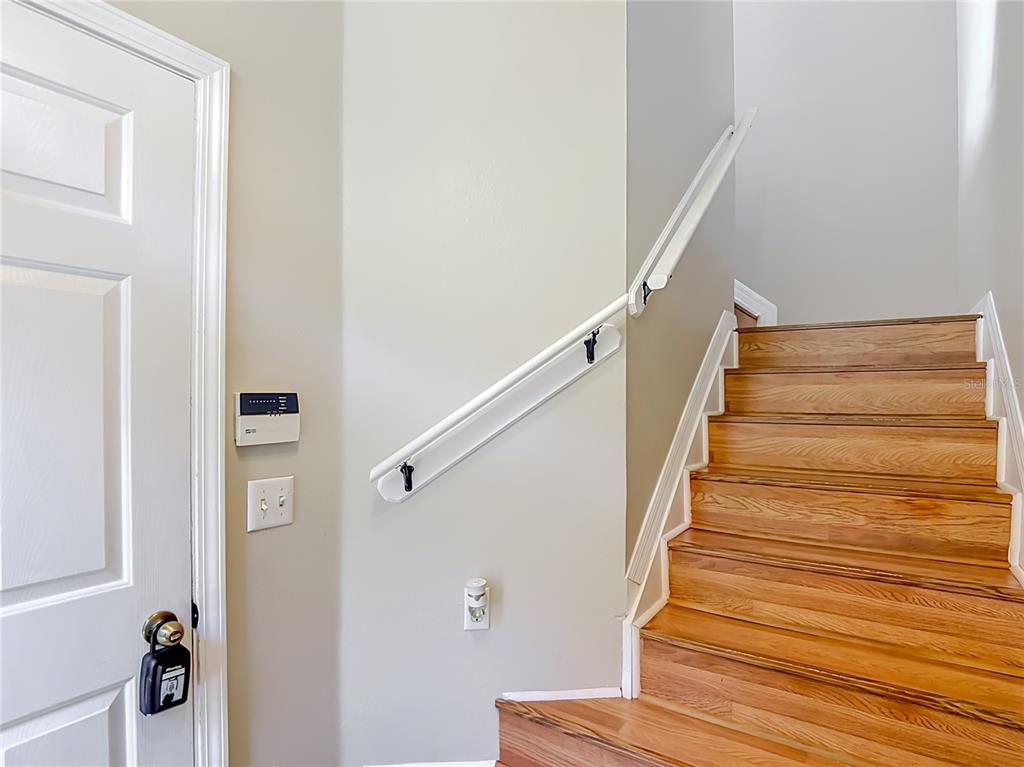 27901 Pleasure Ride Loop Wesley Chapel, FL 33544 - Photo 3 of 44