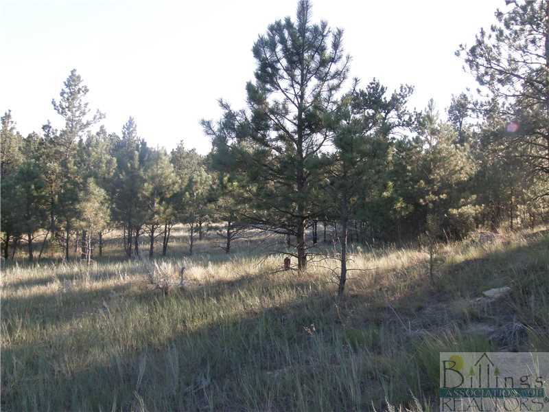 0 Jeffery Mine Road Roundup, MT 59072 - Photo 1 of 1 Land/Lot.