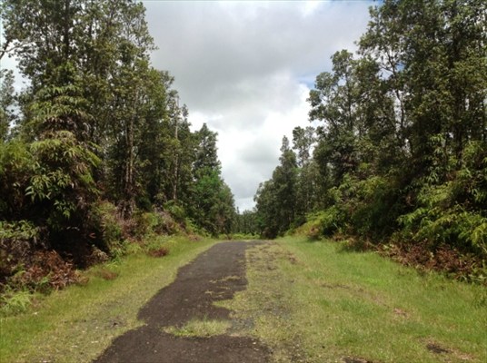 246 Pahoa Road Pahoa, HI 96778 - Photo 2 of 4 Gallery Image 2