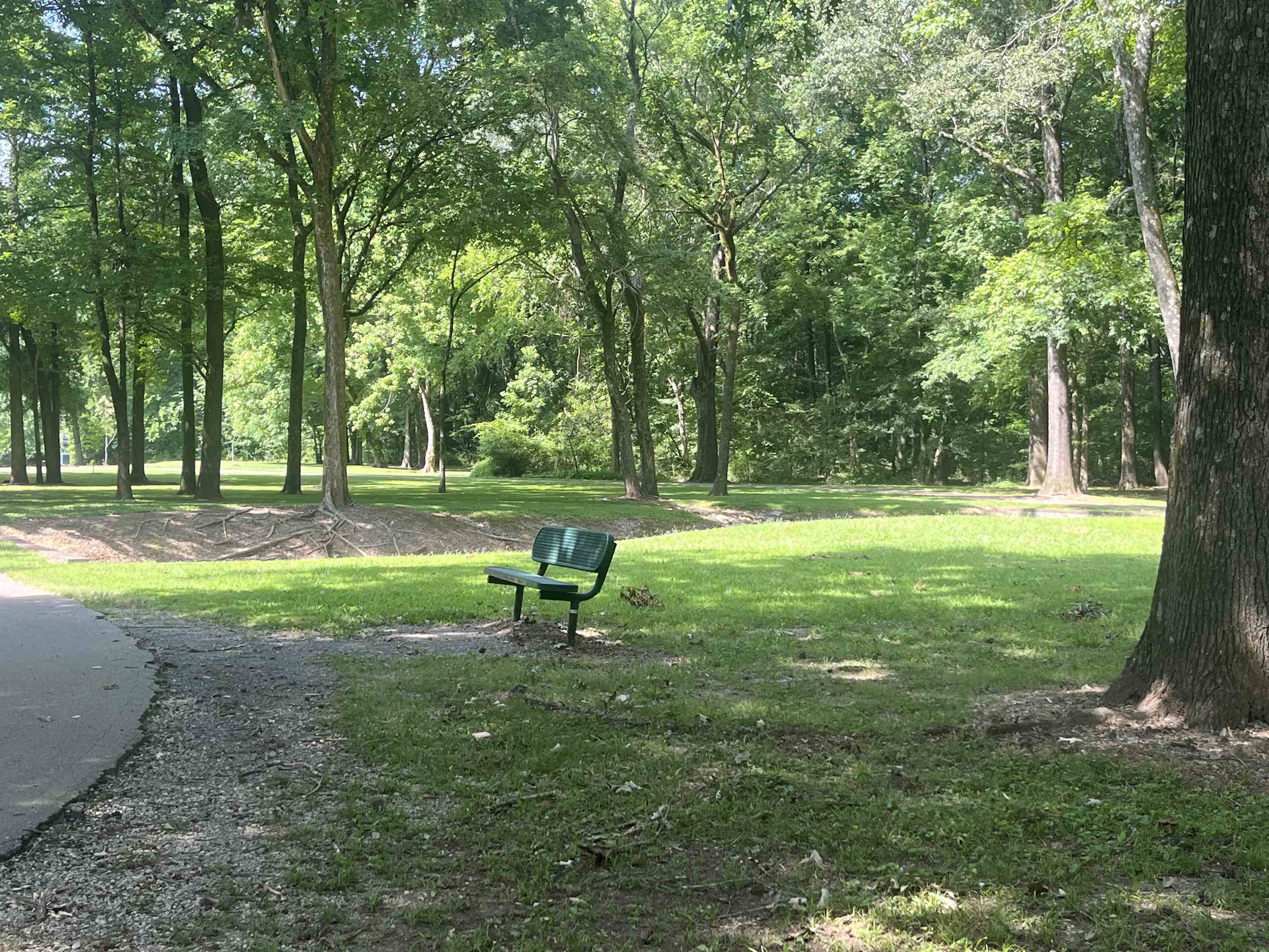 6960 Country Road Germantown, TN 38138 - Photo 34 of 36 a view of a park with a tree