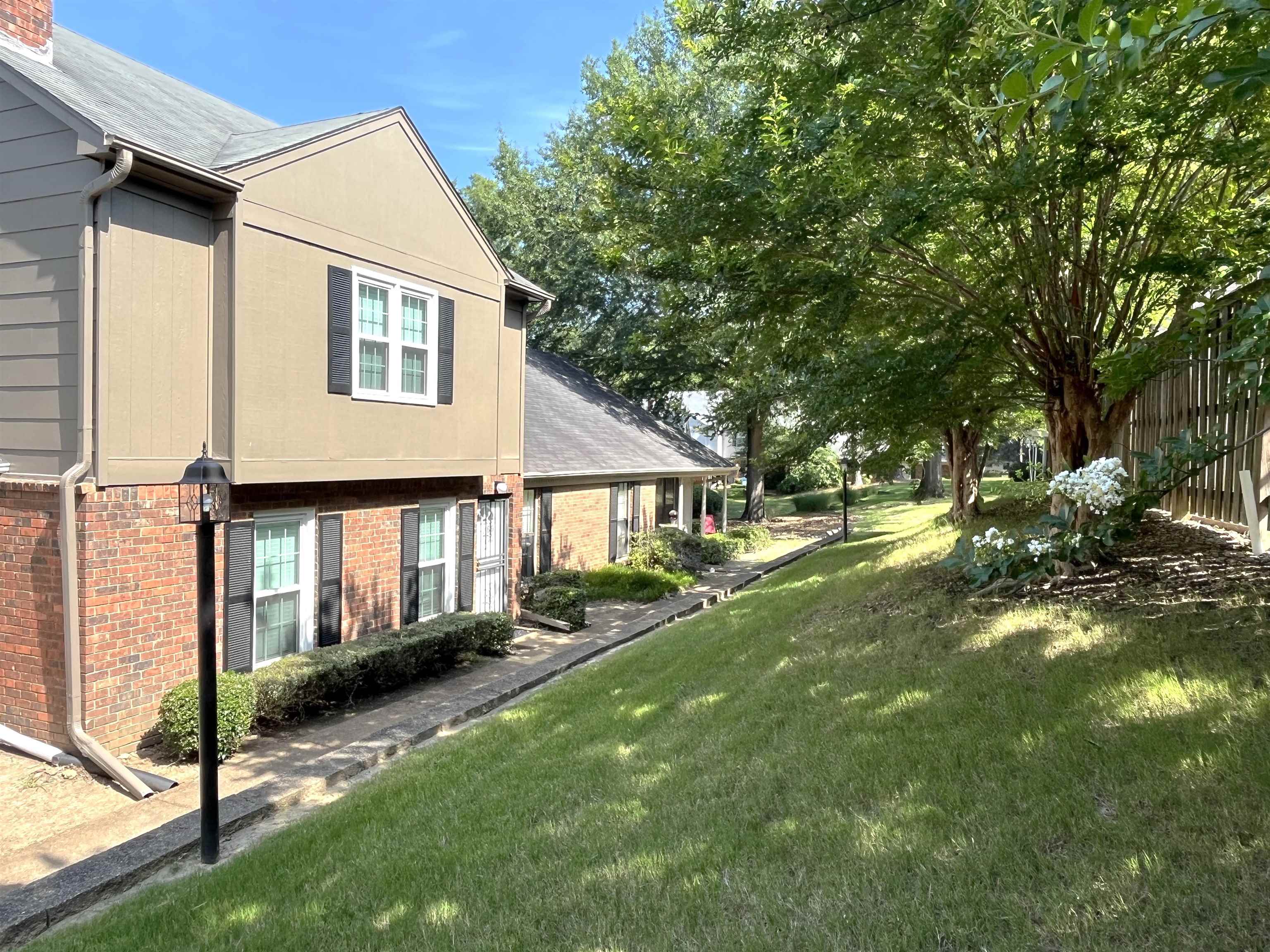 6960 Country Road Germantown, TN 38138 - Photo 5 of 36 a view of house with backyard and a tree