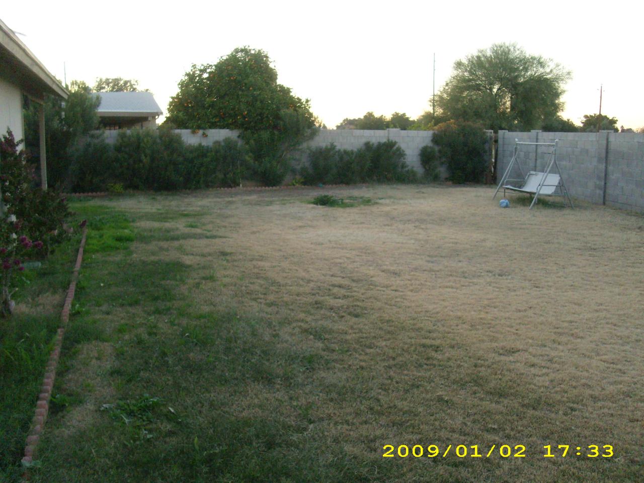 backyard2
