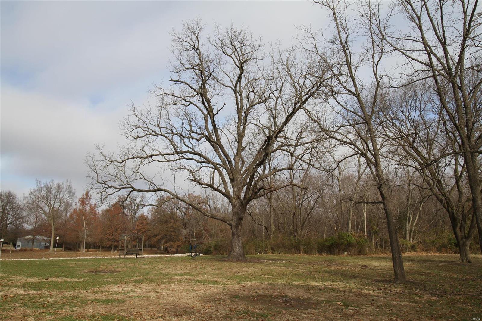 12708 Roseborough Road Sparta, IL 62286 - Photo 40 of 53 Gallery Image 40