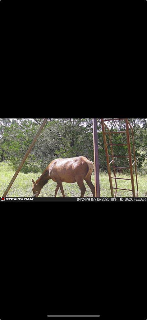 0 Fairview Road Rocksprings, TX 78880 - Photo 26 of 26