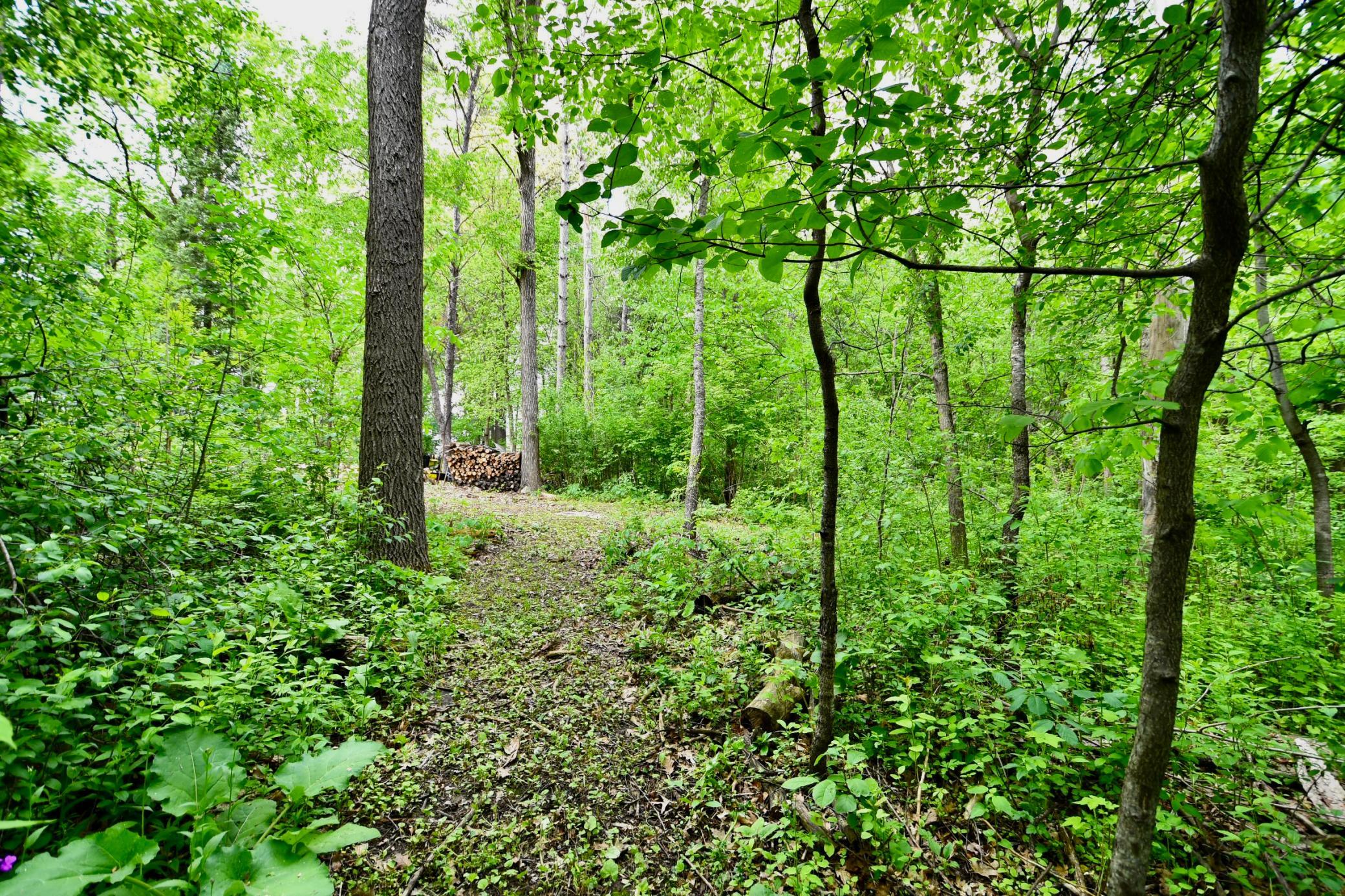 30300 County 1 Stewartville, MN 55976 - Photo 41 of 45