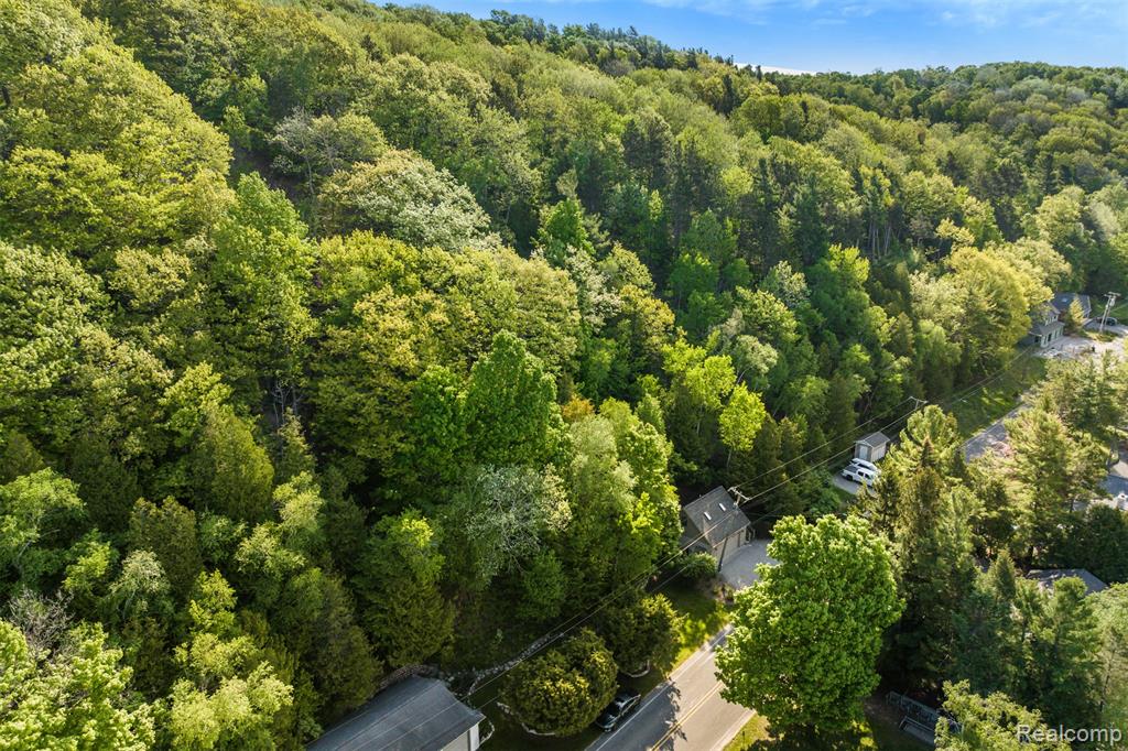 Private Spring Valley Drive Beulah, MI 49617 - Photo 6 of 11