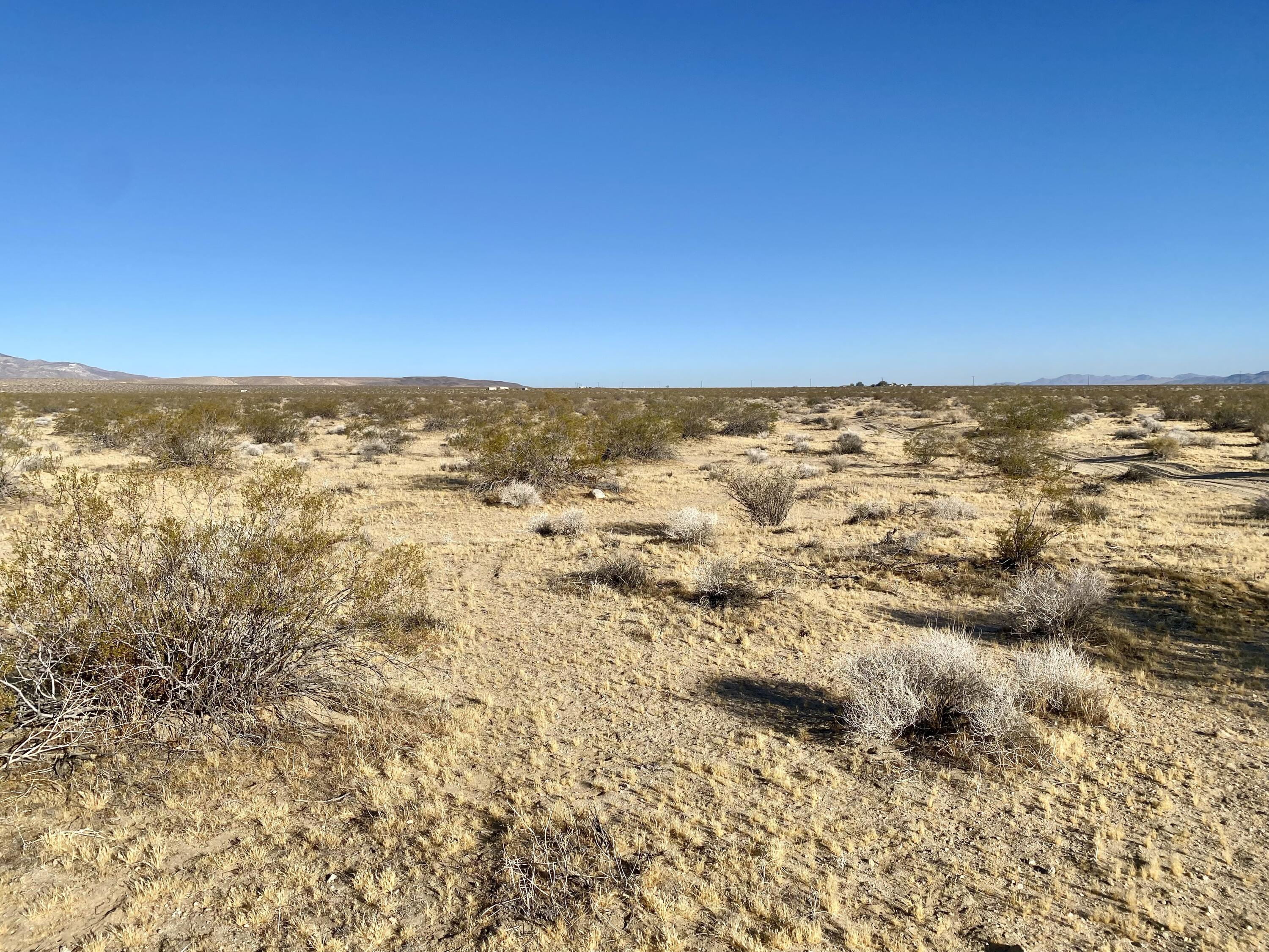 104 Joshua Tree Road Johnson Valley, CA 92285 - Photo 27 of 55 IMG_8393