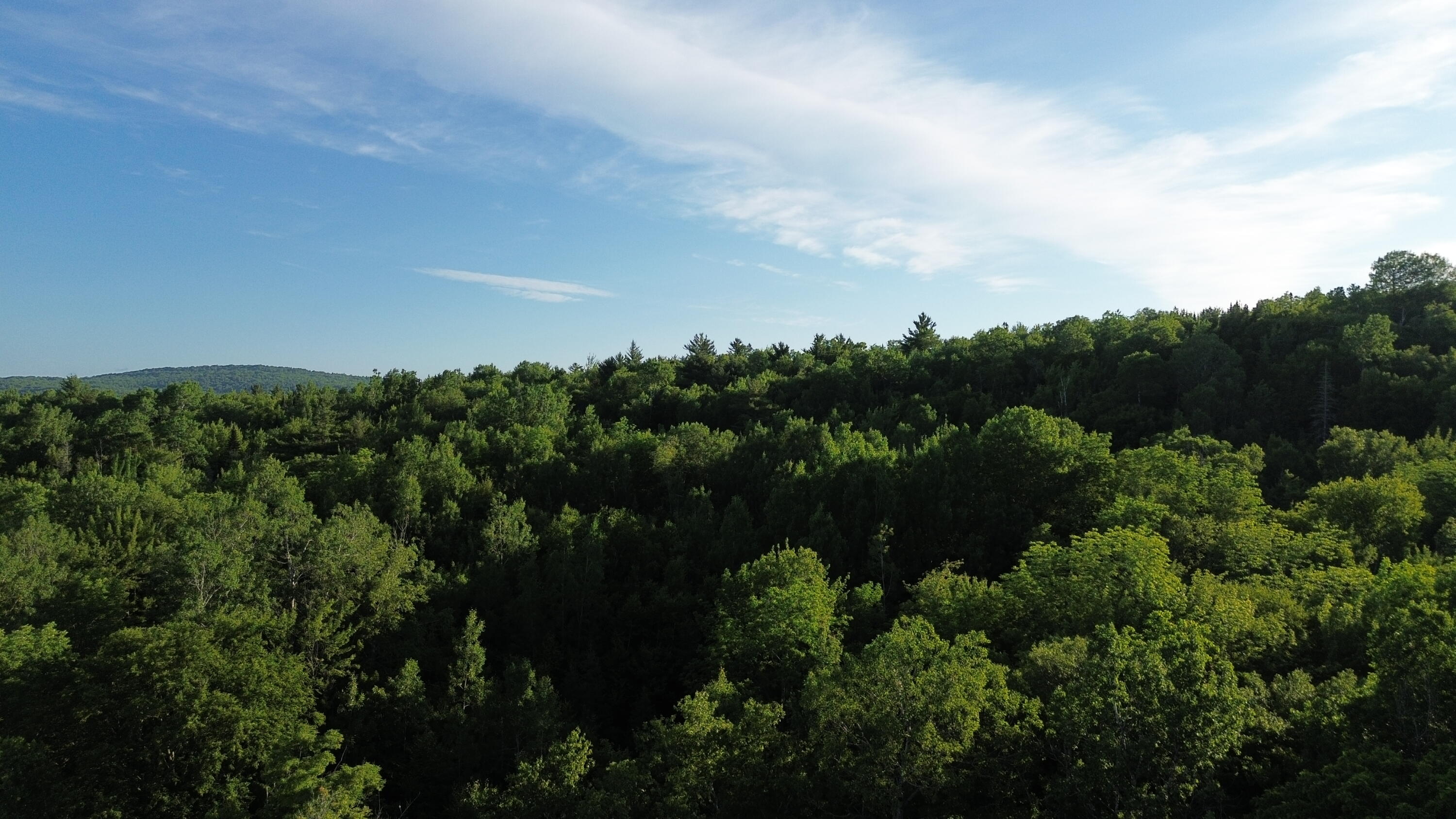 24a Anson Valley Road New Vineyard, ME 04956 - Photo 79 of 93 DJI_0093
