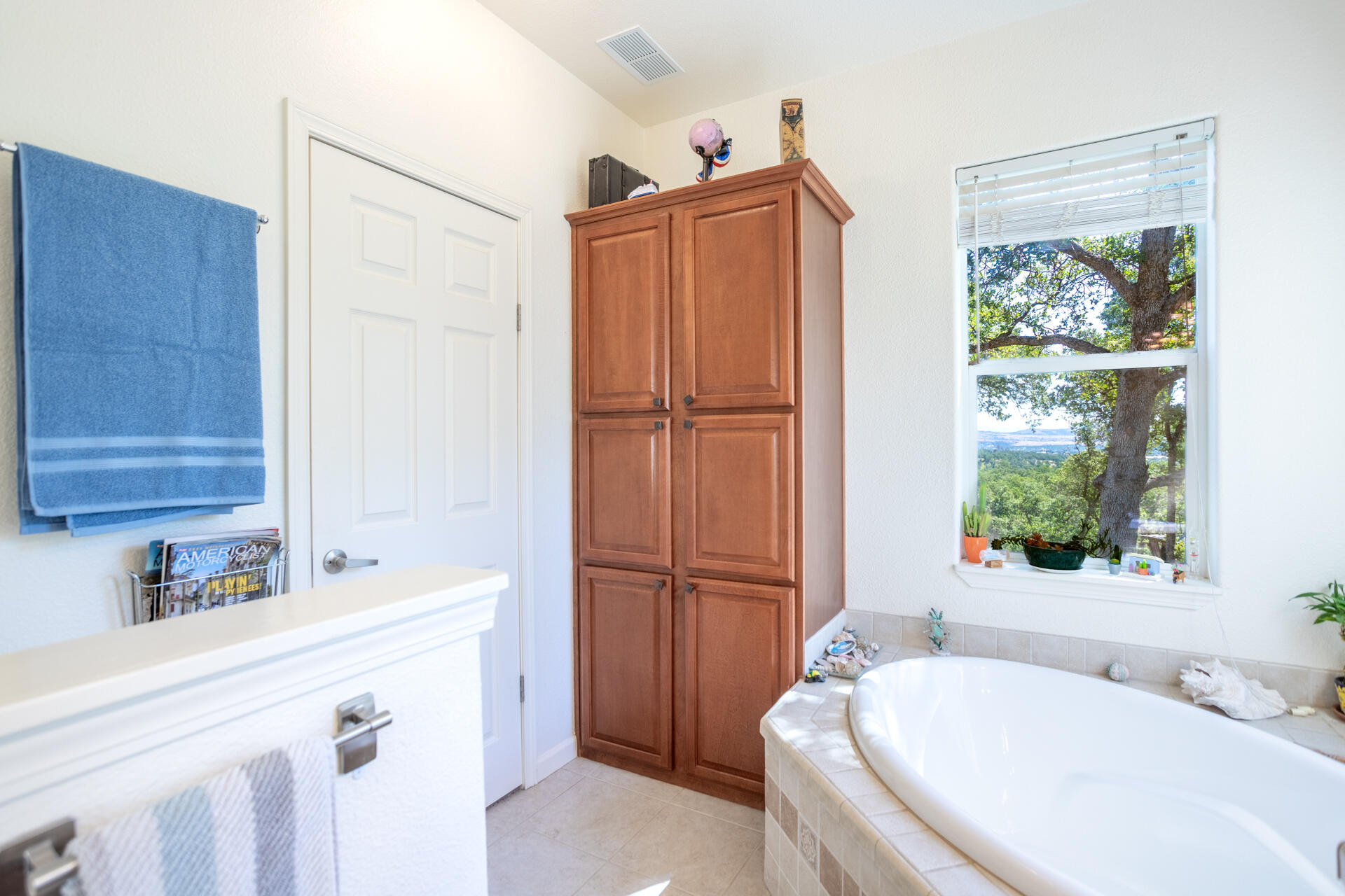 21100 Doe Run Way Red Bluff, CA 96080 - Photo 24 of 93 a bathroom with a tub a sink and a window