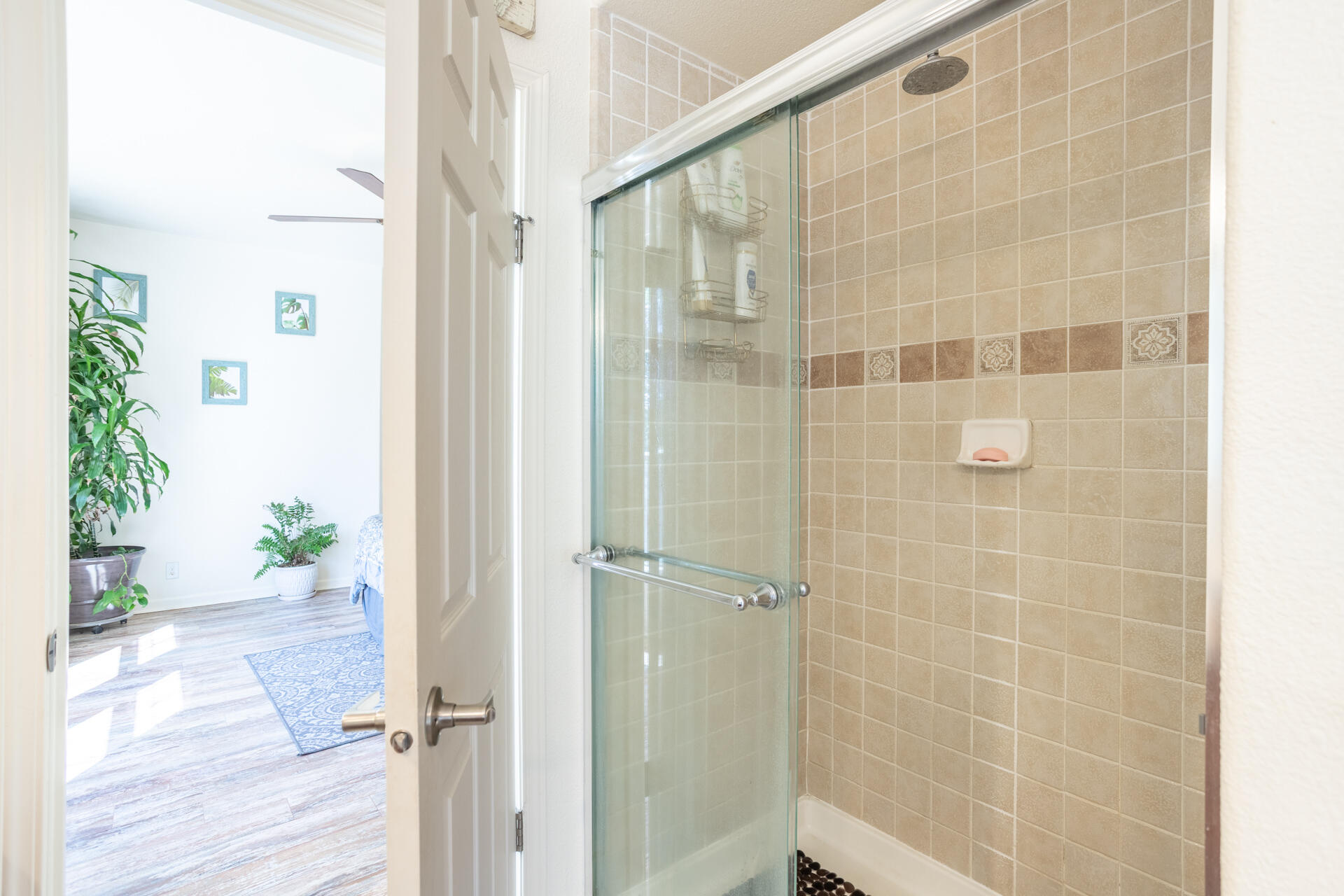 21100 Doe Run Way Red Bluff, CA 96080 - Photo 25 of 93 Master 1 Shower