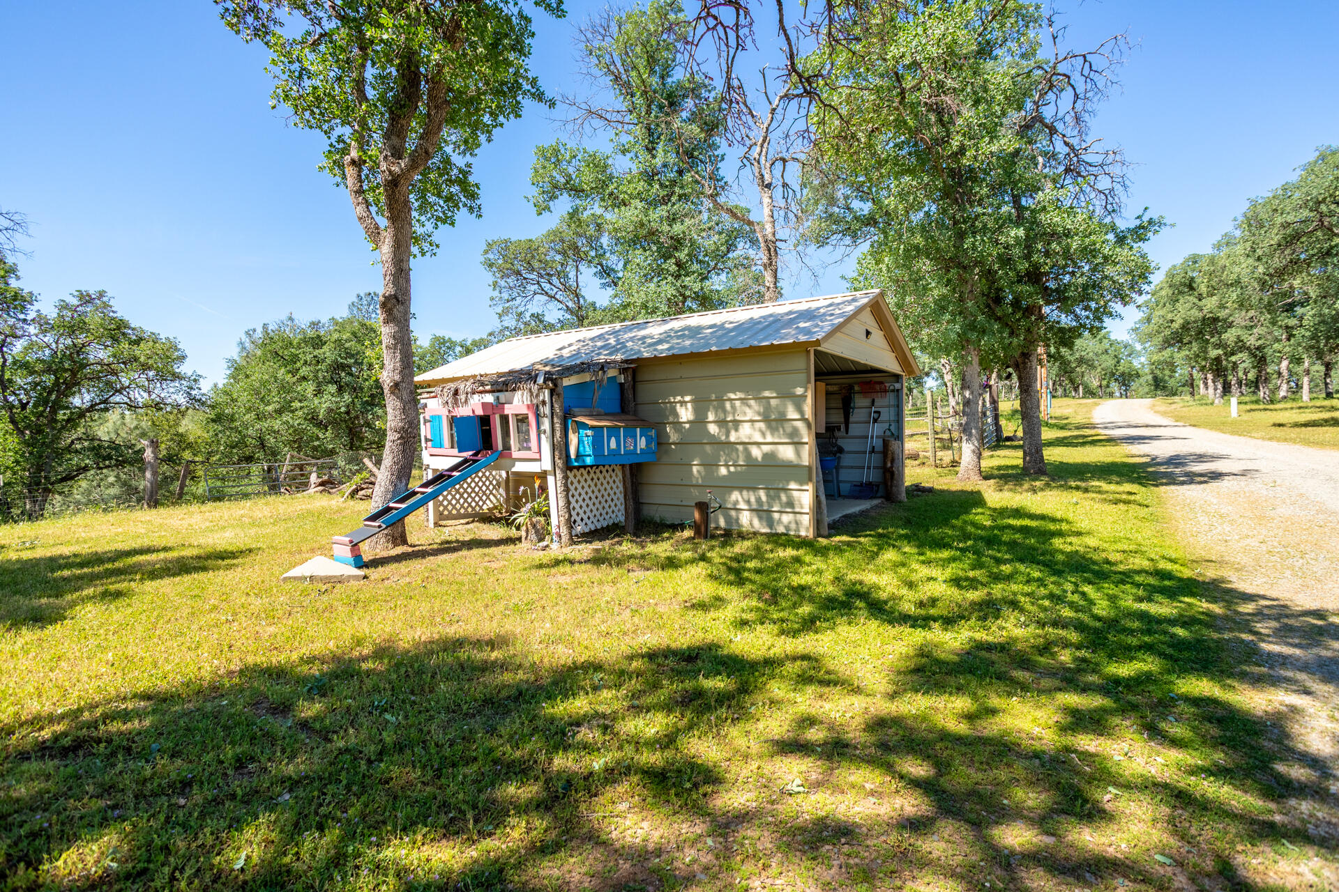 21100 Doe Run Way Red Bluff, CA 96080 - Photo 48 of 93 a view of a house with pool and tree s