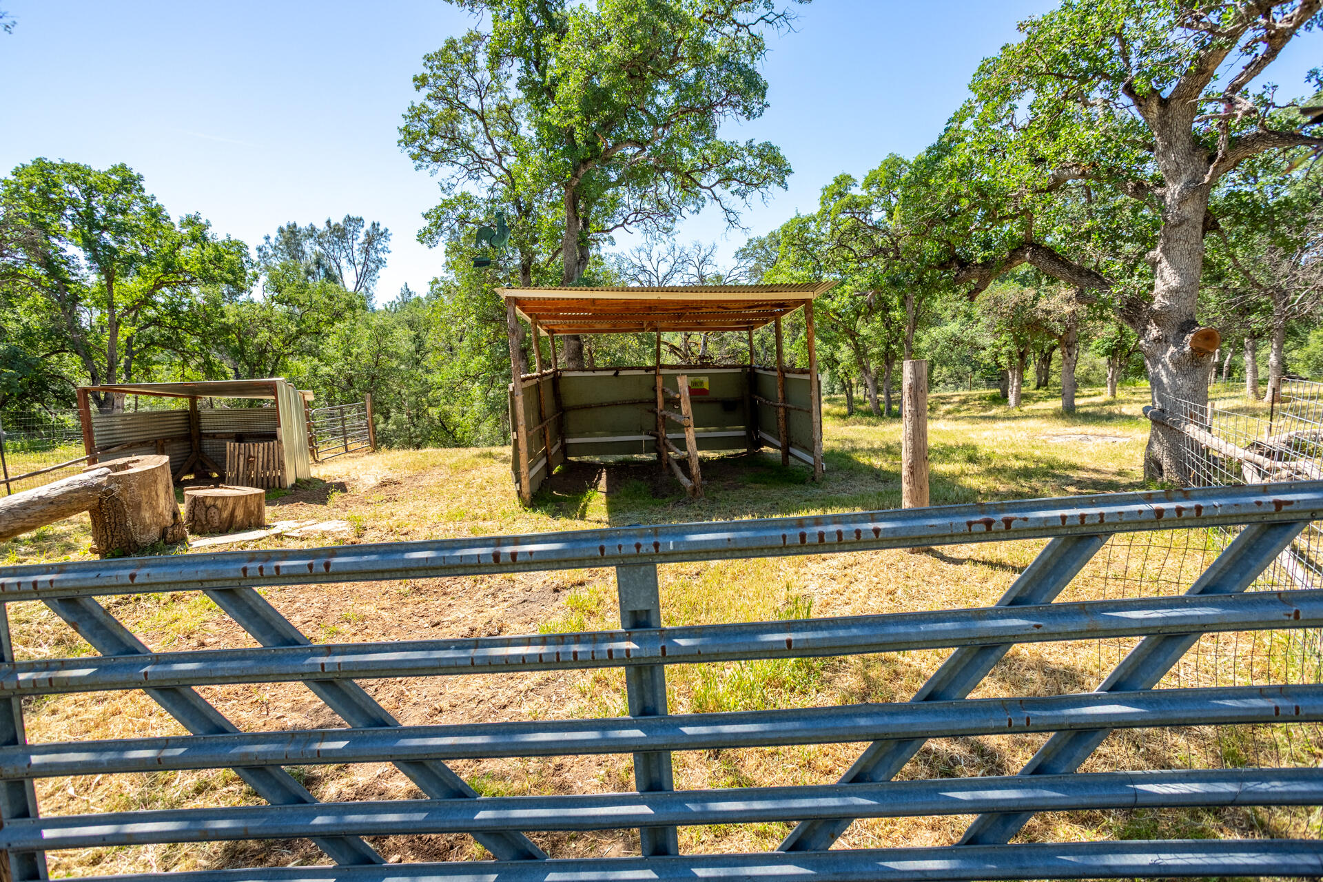 21100 Doe Run Way Red Bluff, CA 96080 - Photo 52 of 93 a view of swimming pool with outdoor seating
