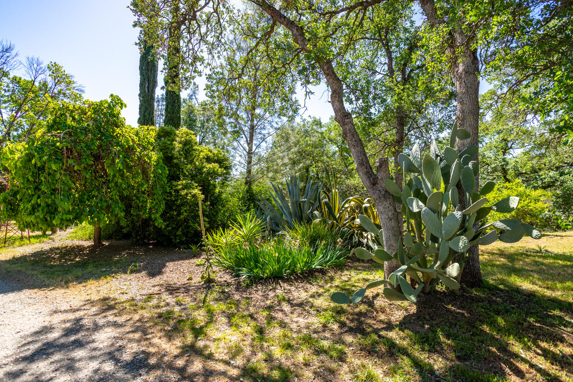 21100 Doe Run Way Red Bluff, CA 96080 - Photo 55 of 93 a backyard of a house with lots of green space